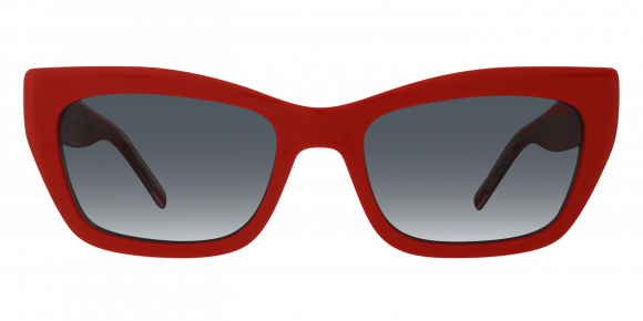 Hugo Boss HG1301/S